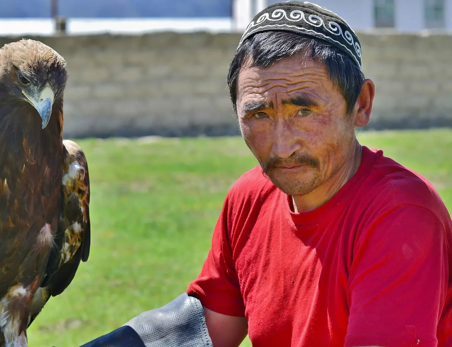A Kazakh eagle hunter on horseback holding a golden eagle in the Altai