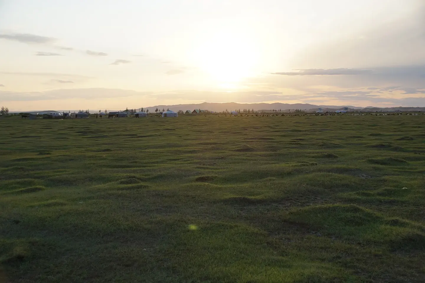 Green Mongolian hills rolling into the distance with a track winding through