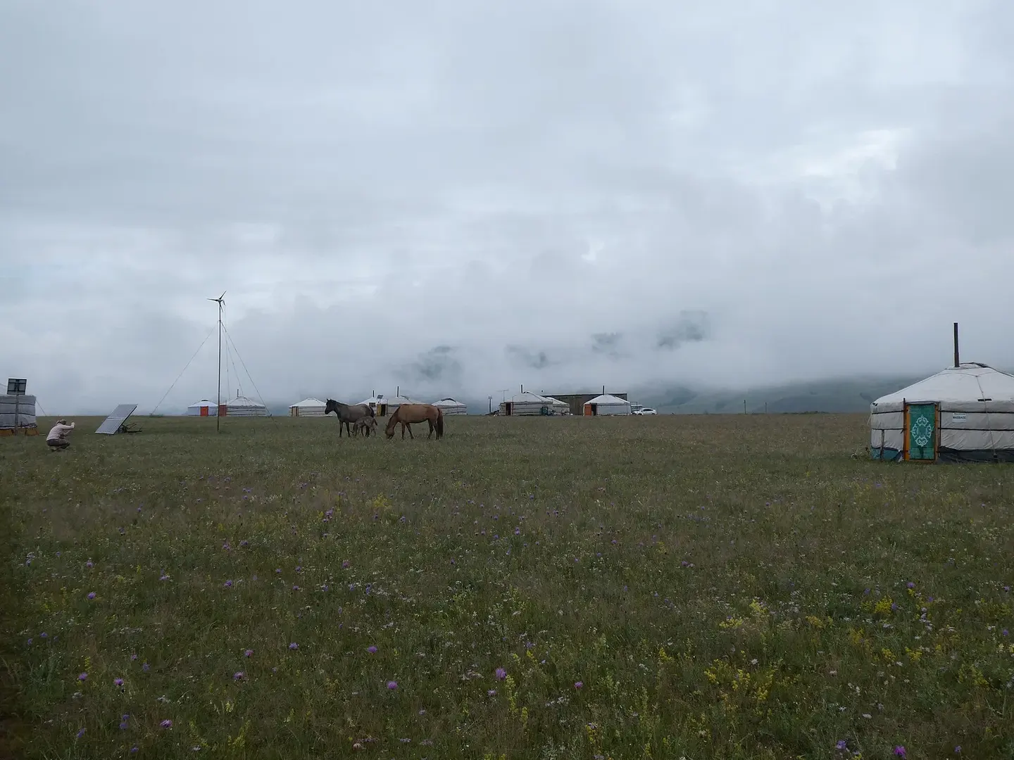 A ger camp on the open Mongolian grassland