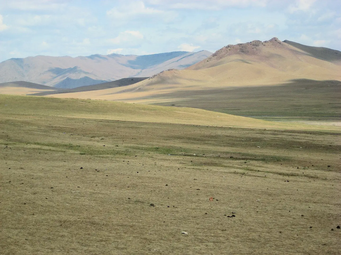 Open steppe running to the horizon