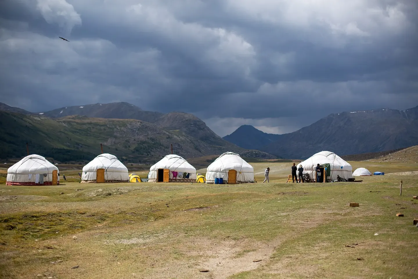 A single white ger of a nomadic herding family on open ground in western Mongolia